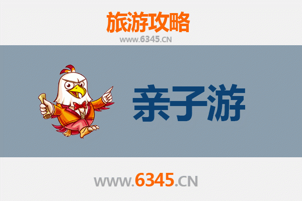 乐东千家镇亲子游攻略：探索雨林奇缘与黎族文化的自然课堂